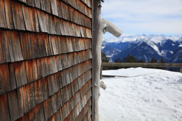 Cedar Siding Repair in Pleasanton