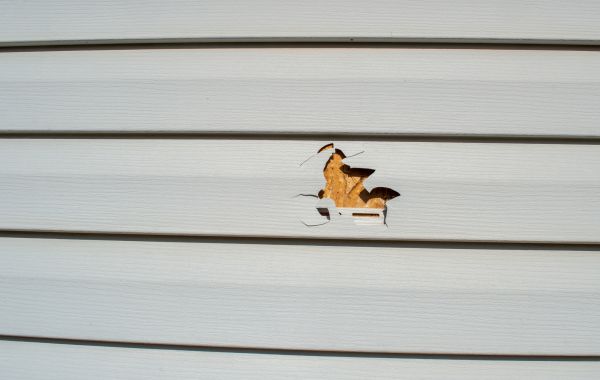 Siding Hole Patching in Pleasanton